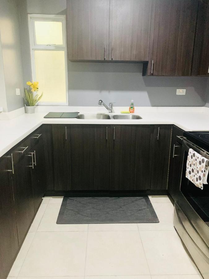 Odyssey On The 5Th - Exquisite Luxury Apt Kingston Exterior photo