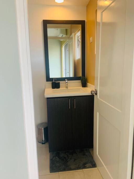 Odyssey On The 5Th - Exquisite Luxury Apt Kingston Exterior photo